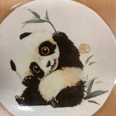 panda