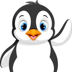 pinguin
